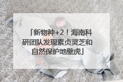 新物种+2！海南科研团队发现素贞灵芝和自然保护地壁虎